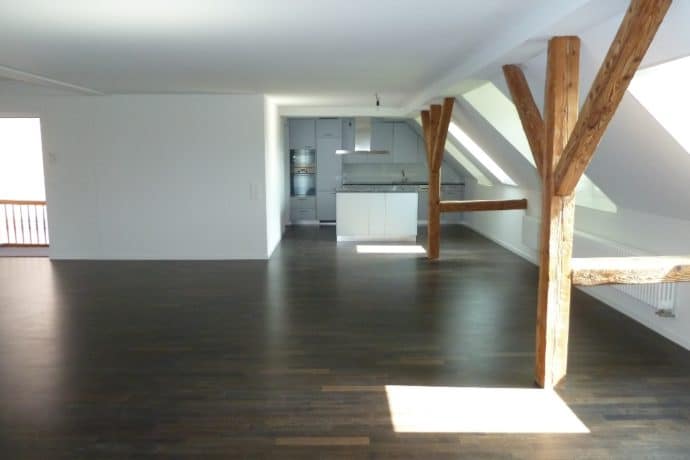Dufourstrasse-163-Zuerich_Wohnzimmer3